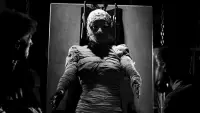 Backdrop to the movie "The Bride of Frankenstein" #870901