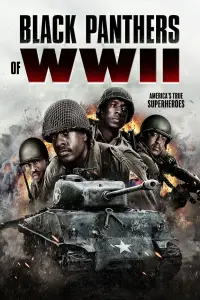 Poster to the movie "Black Panthers of WWII" #665908