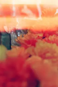 Poster to the movie "Ofrenda" #1007544