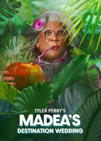 Poster to the movie "Tyler Perry