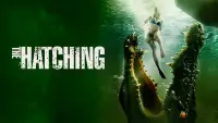 Backdrop to the movie "The Hatching" #973038