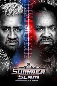 Poster to the movie "WWE SummerSlam 2025 - Sunday" #817076