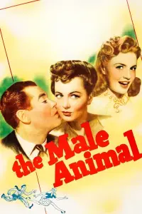 Poster to the movie "The Male Animal" #987128