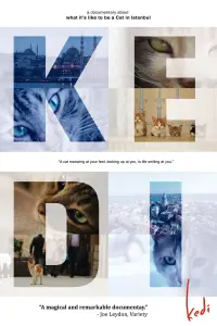 Poster to the movie "Kedi" #1167207
