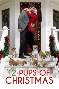 Poster to the movie "12 Pups of Christmas" #1095311