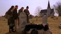 Backdrop to the movie "Book of Shadows: Blair Witch 2" #762602