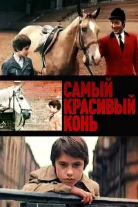 Poster to the movie "The Most Beautiful Horse" #845459