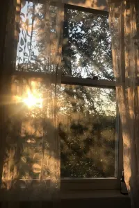 Poster to the movie "The Simpsons: O C