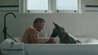 Backdrop to the movie "Dog" #888992