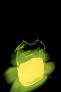Poster to the movie "Re-Animator" #743585