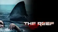 Backdrop to the movie "The Reef" #1110060