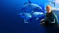 Backdrop to the movie "Dolphins Up Close with Bertie Gregory" #869760