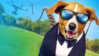 Backdrop to the movie "Agent Toby Barks" #811797