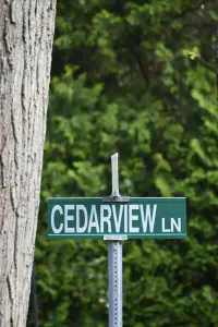 Poster to the movie "Cedarview" #197722