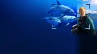 Backdrop to the movie "Dolphins Up Close with Bertie Gregory" #869764