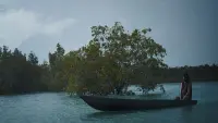Backdrop to the movie "Filhos do Mangue" #812586