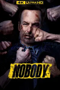 Poster to the movie "Nobody" #904456