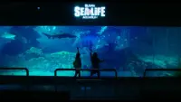 Backdrop to the movie "Soulmate" #831252