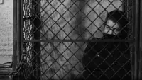 Backdrop to the movie "The 400 Blows" #877386