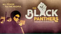 Backdrop to the movie "The Black Panthers: Vanguard of the Revolution" #1103829