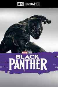 Poster to the movie "Black Panther" #929415