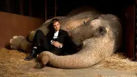 Backdrop to the movie "Water for Elephants" #683958