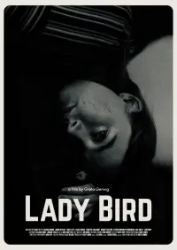 Poster to the movie "Lady Bird" #754199