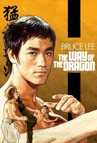 Poster to the movie "The Way of the Dragon" #948158