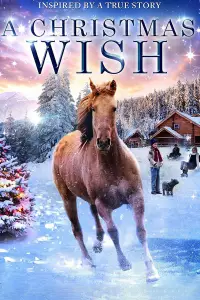 Poster to the movie "Christmas for a Dollar" #1117398