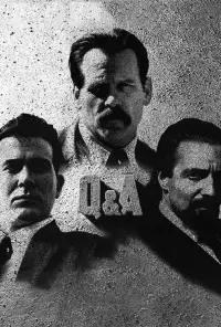 Poster to the movie "Q & A" #619207