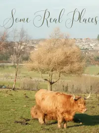 Poster to the movie "Some Real Places" #712992
