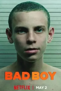 Poster to the movie "Bad Boy" #761935