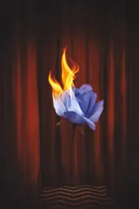 Poster to the movie "Twin Peaks: Fire Walk with Me" #834303