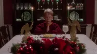 Backdrop to the movie "Home Alone" #834707