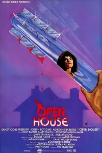 Poster to the movie "Open House" #1176734