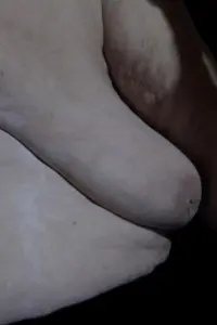 Poster to the movie "The Shell" #367212