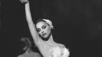 Backdrop to the movie "Black Swan" #691354