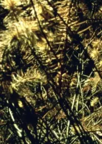 Poster to the movie "Epilogue" #1097117