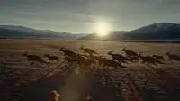 Backdrop to the movie "Jurassic World Dominion" #739722