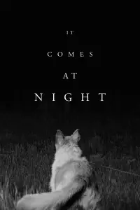 Poster to the movie "It Comes at Night" #1228957