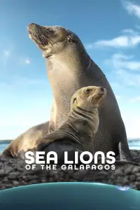 Poster to the movie "Sea Lions of the Galapagos" #1115565