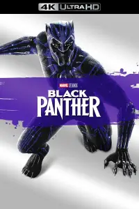 Poster to the movie "Black Panther" #929392