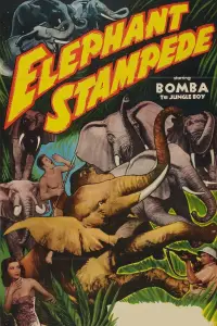 Poster to the movie "Elephant Stampede" #991152