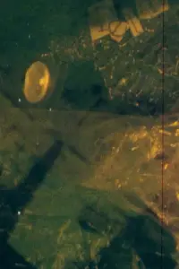 Poster to the movie "DETRITUS" #1190266