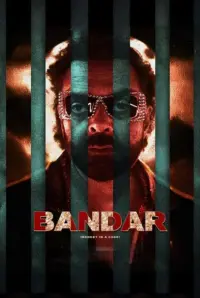 Poster to the movie "Monkey In A Cage" #828212
