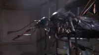 Backdrop to the movie "Mosquito" #715620