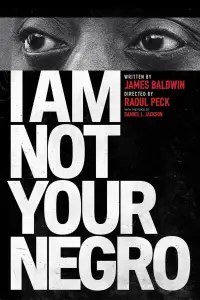 Poster to the movie "I Am Not Your Negro" #1107638