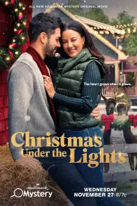 Poster to the movie "Christmas Under the Lights" #1018689