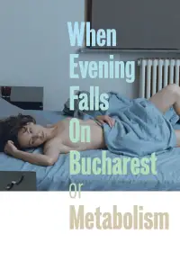 Poster to the movie "When Evening Falls on Bucharest or Metabolism" #1133863