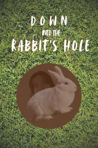Poster to the movie "Down into the Rabbit